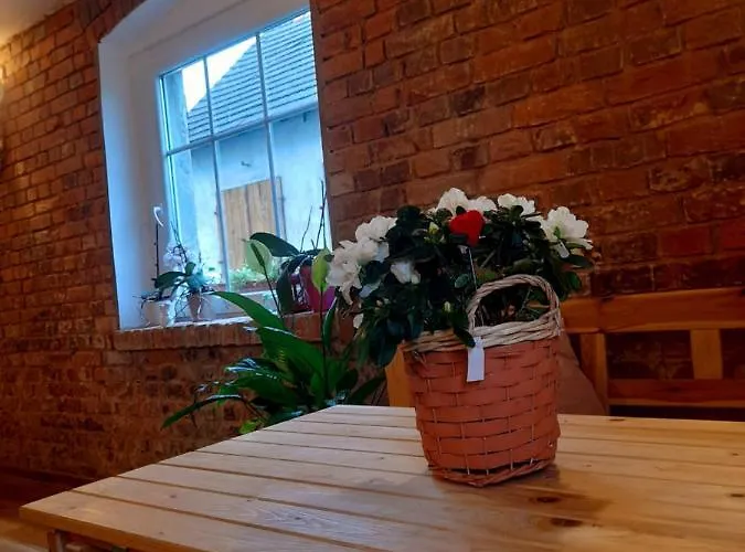 Farm stay Dom O Niebieskich Okiennicach *